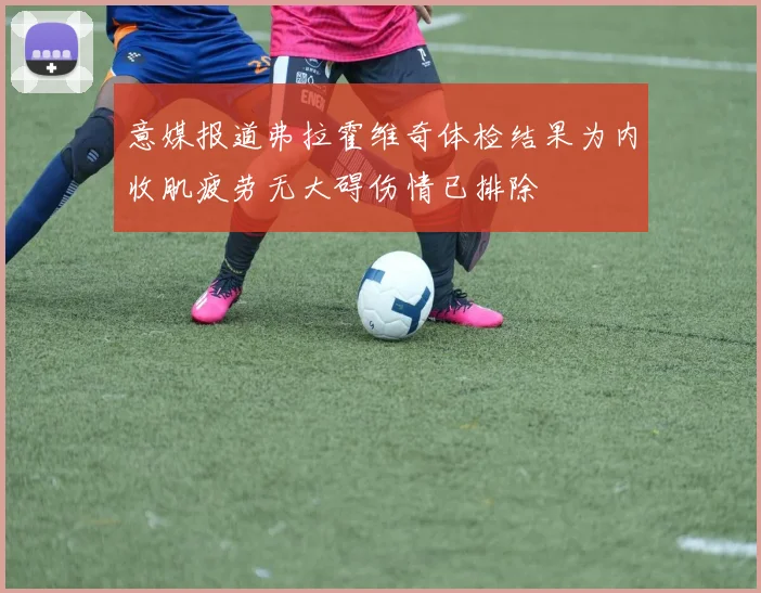 意媒报道弗拉霍维奇体检结果为内收肌疲劳无大碍伤情已排除