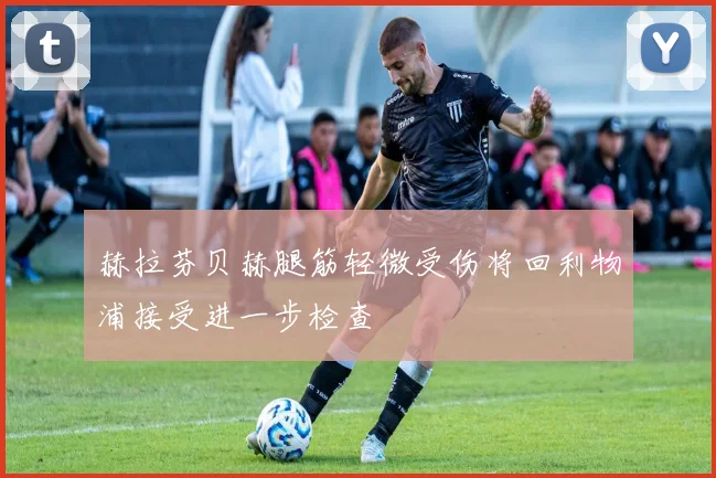赫拉芬贝赫腿筋轻微受伤将回利物浦接受进一步检查
