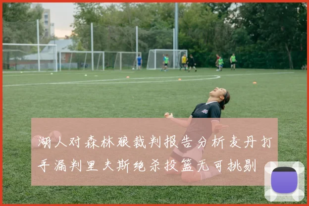 湖人对森林狼裁判报告分析麦丹打手漏判里夫斯绝杀投篮无可挑剔