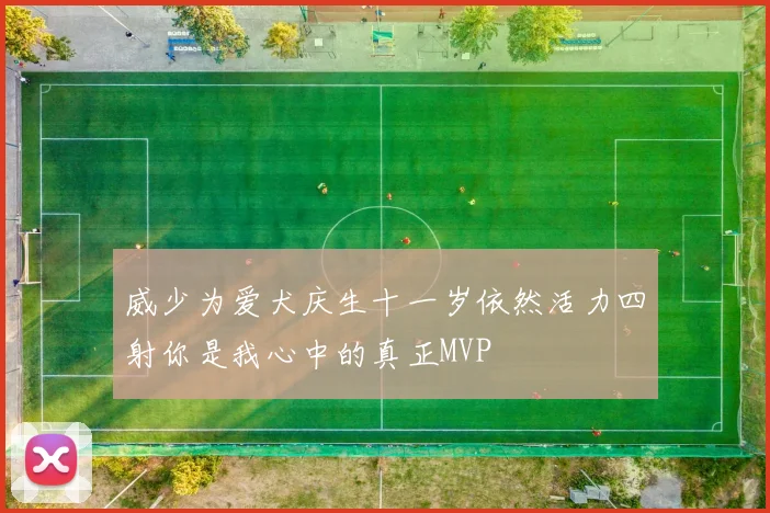 威少为爱犬庆生十一岁依然活力四射你是我心中的真正MVP