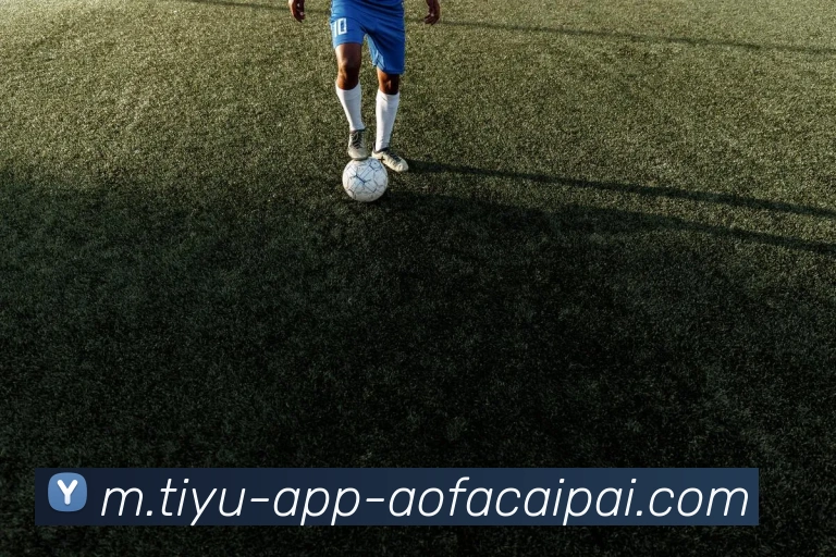 阿莫林谈梦剧场战斗意义与伯恩茅斯的威胁性分析