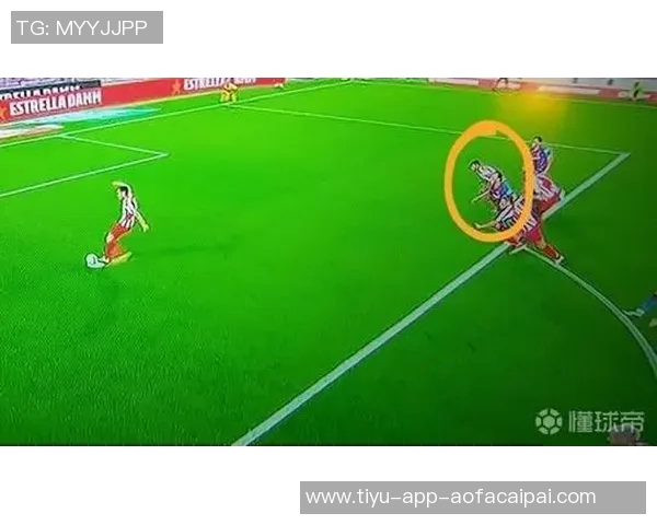 熊出没惊险一幕前马竞前锋科雷亚抱女儿遭遇野生熊袭击